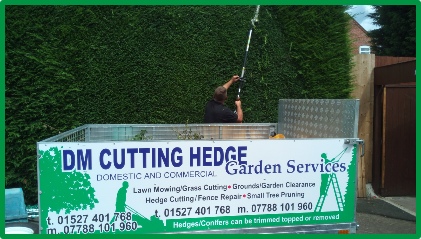 DM Cutting Hedge Conifer Hedge Cutting Redditch